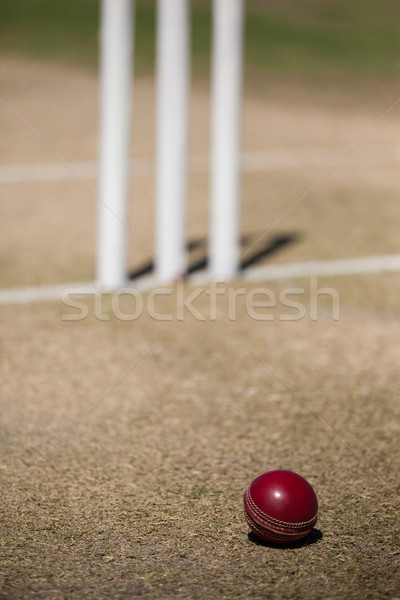 High angle view of cricket ball on field Stock photo © wavebreak_media