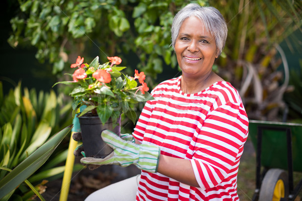 Portrait of smiling woman holding potted plant Stock photo © wavebreak_media