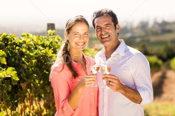 Porträt glücklich Paar Toasten Gläser Wein Stock foto © wavebreak_media