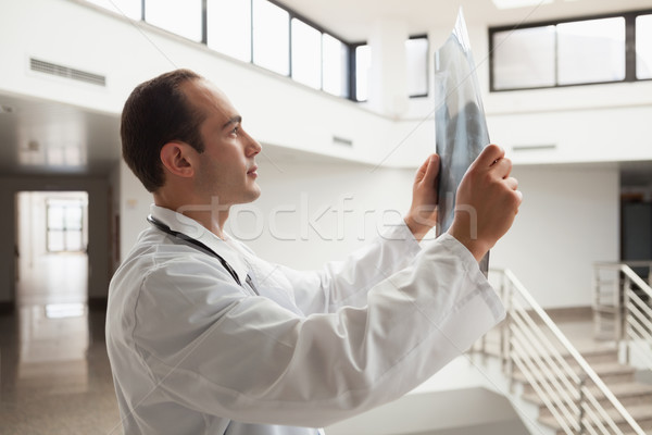 Arzt xray Flur Papier medizinischen Technologie Stock foto © wavebreak_media