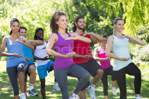 Fitness group doing tai chi in park Stock photo © wavebreak_media