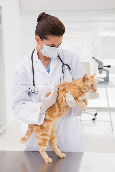 Lekarz weterynarii wstrzykiwań kot medycznych biuro kobieta Zdjęcia stock © wavebreak_media