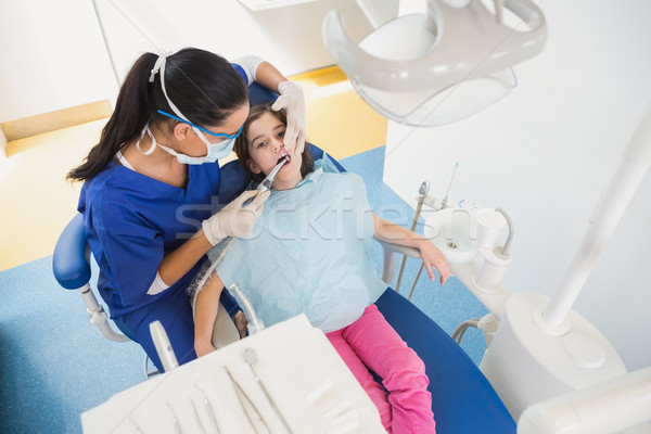 High angle view of pediatric dentist examining her young patient Stock photo © wavebreak_media