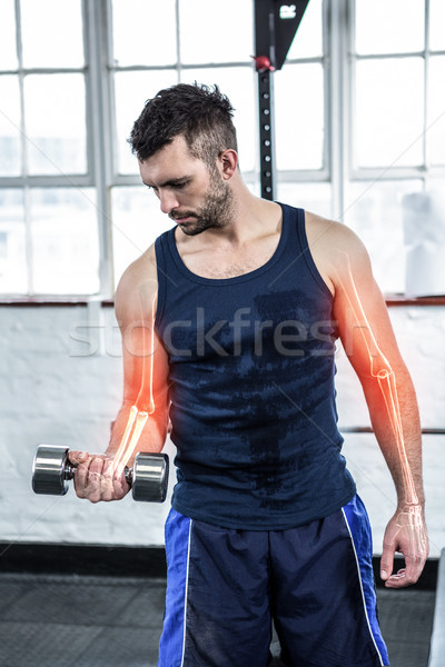 Highlighted arm of strong man lifting weights at gym Stock photo © wavebreak_media