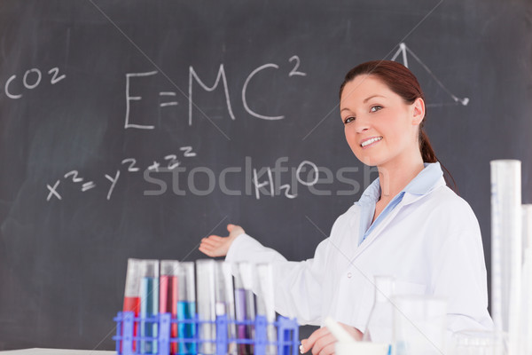 Cute scientist showing the equations on a blackboard Stock photo © wavebreak_media