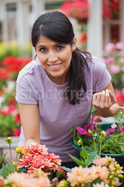 Stock foto: Heiter · Frau · Warenkorb · Blumen · Garten · Zentrum