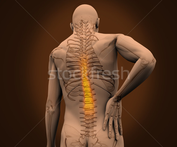 Digital skeleton having highlighted pain on his back Stock photo © wavebreak_media
