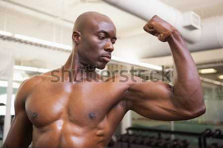 Muscular man exercising with dumbbell in gym Stock photo © wavebreak_media