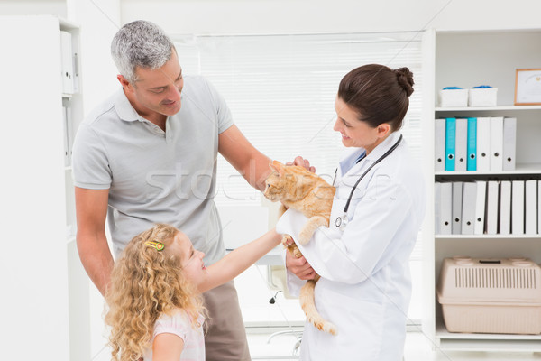 Stock photo: Veterinarian holding cat with its owners 