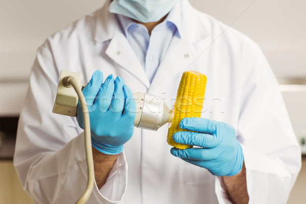 Food scientist using device on corn cob Stock photo © wavebreak_media
