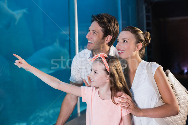 Glückliche Familie schauen Fisch Tank Aquarium Liebe Stock foto © wavebreak_media