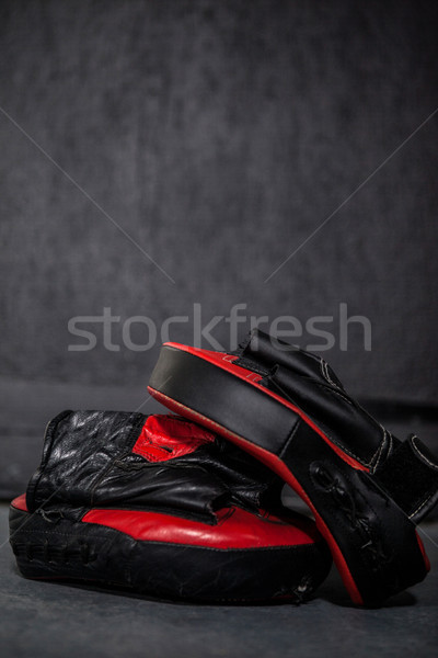 Boxing gloves and focus mitt in fitness studio Stock photo © wavebreak_media