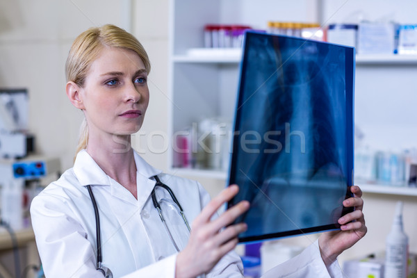 A woman vet observing x-ray  Stock photo © wavebreak_media