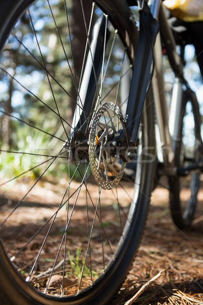 Stock photo: Close-up of mountain bike front wheel