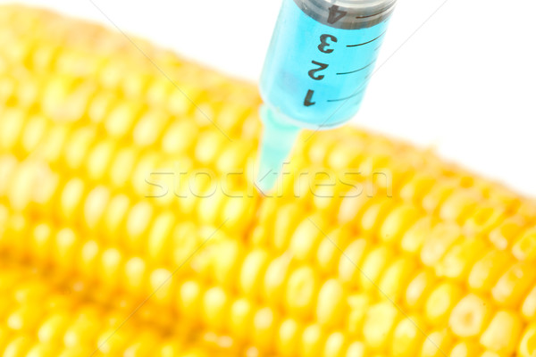 Stock photo: Syringe injecting blue liquid into corn