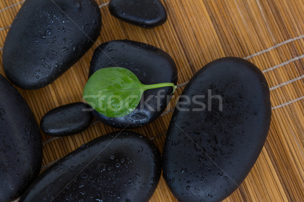 Stock photo: Pebbles and herbs leaf