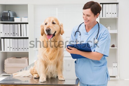 Cheerful veterinarian examining a cute dog Stock photo © wavebreak_media