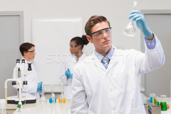 Scientist looking at white precipitate while colleagues talking  Stock photo © wavebreak_media