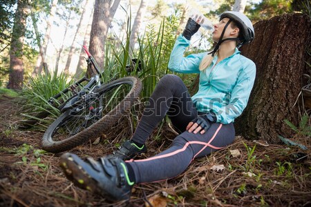 Boy tying shoelace in the forest Stock photo © wavebreak_media