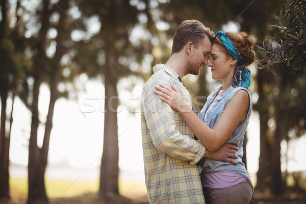 Young couple embracing at olive farm on sunny day Stock photo © wavebreak_media
