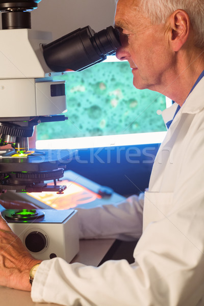 高級 科學家 看 顯微鏡 大學 男子 商業照片 © wavebreak_media