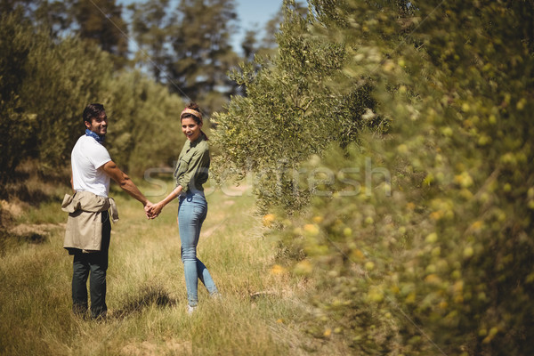 Paar Hand in Hand stehen Olivenöl Bauernhof Porträt Stock foto © wavebreak_media