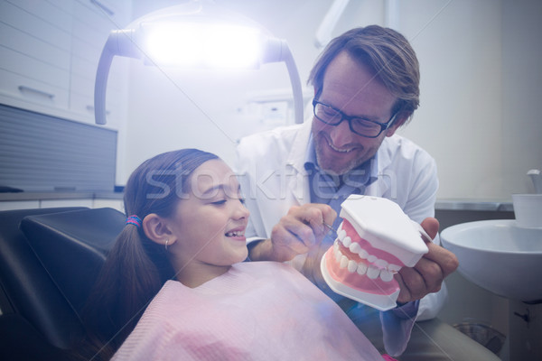 Dentysta model zęby pacjenta stomatologicznych Zdjęcia stock © wavebreak_media