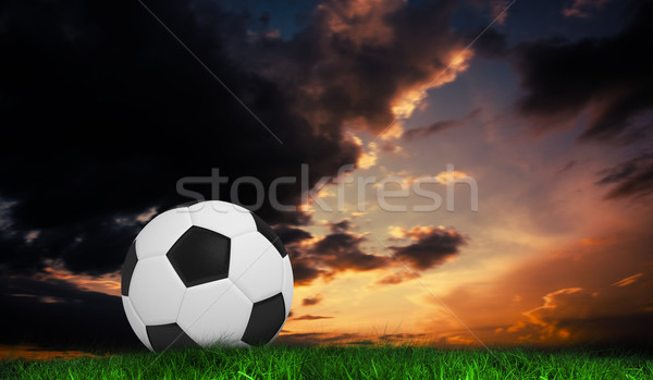 Bild schwarz weiß Fußball grünen Gras dunkel Stock foto © wavebreak_media