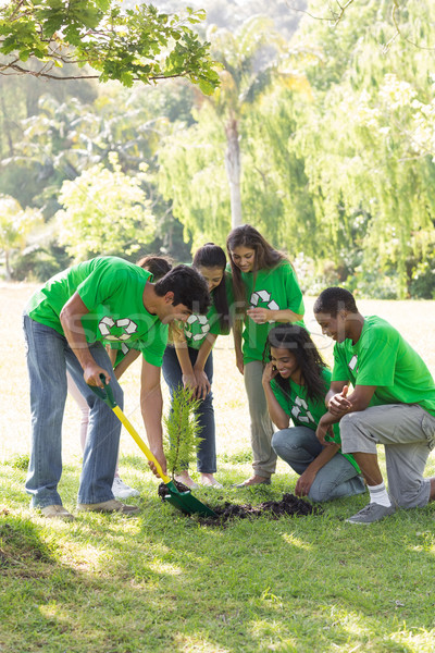 Foto stock: Jardinería · parque · grupo · árbol · hombre