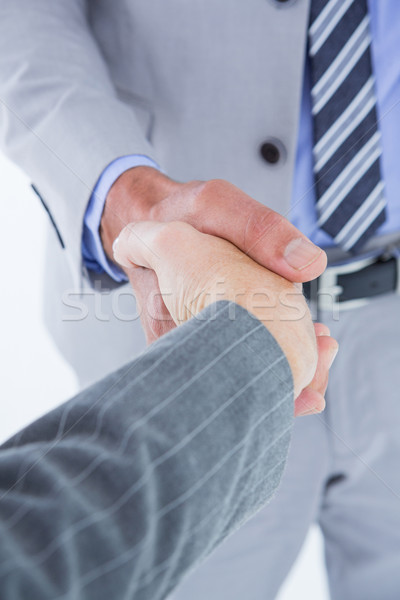  Businessman shaking hands with a co worker Stock photo © wavebreak_media