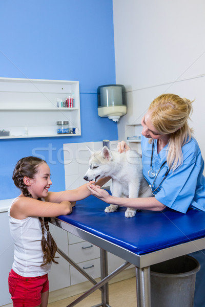 A woman vet putting down a dog Stock photo © wavebreak_media