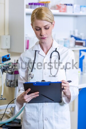 Foto stock: Mujer · veterinario · abajo · gatito · oficina · médicos