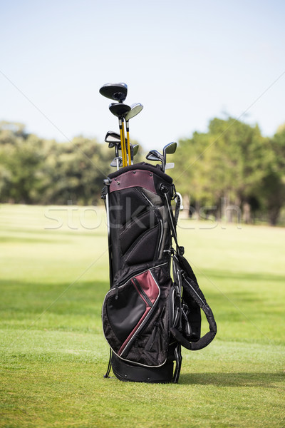 Sacca da golf golf club campo sport verde Foto d'archivio © wavebreak_media