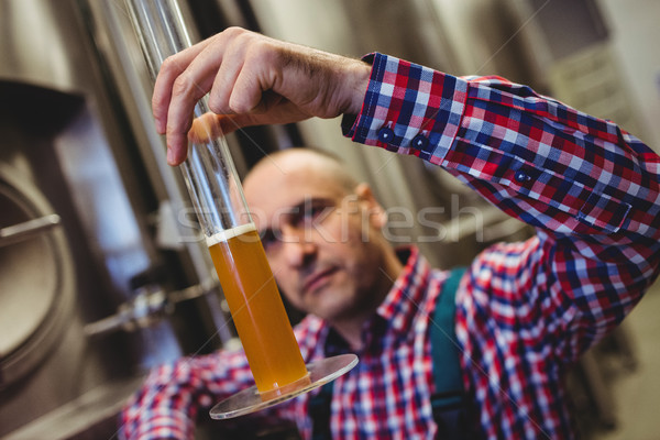 Tulajdonos megvizsgál sör üveg cső sörfőzde Stock fotó © wavebreak_media