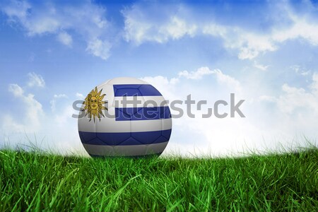 Futebol Uruguai cores grama futebol verde Foto stock © wavebreak_media