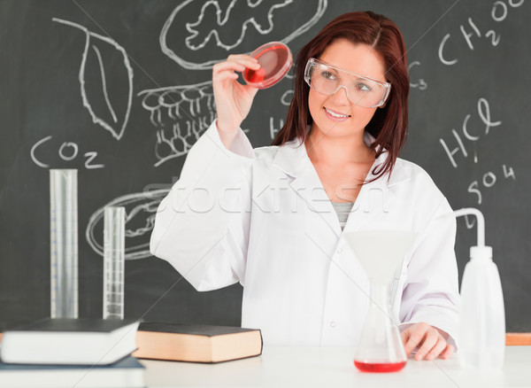 漂亮 科學家 看 菜 課堂 女子 商業照片 © wavebreak_media