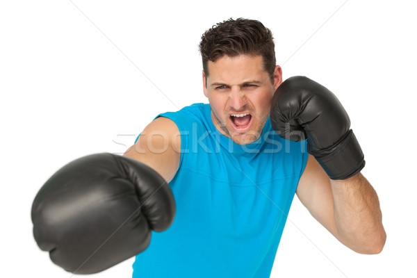 Határozott férfi boxoló fókuszált képzés fehér Stock fotó © wavebreak_media