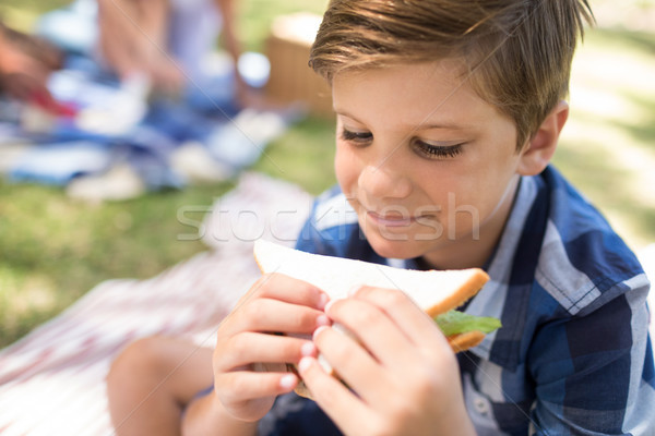 Erkek sandviç piknik park mutlu Stok fotoğraf © wavebreak_media