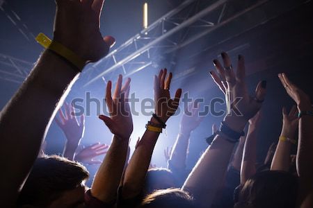 Cheerful fans lifting female performer at nightclub Stock photo © wavebreak_media