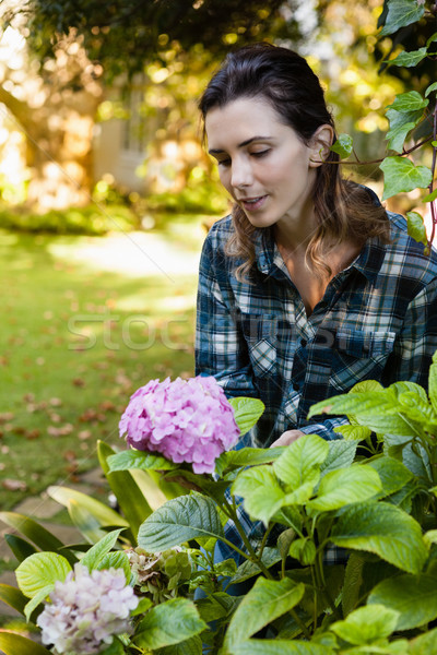 Stock photo: Beautiful woman crouching while looking at purple hydrangea bunch