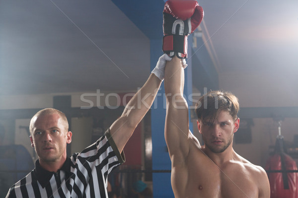 Referee holding hand of winning young male boxer Stock photo © wavebreak_media