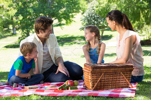 Familia feliz picnic parque mujer nina Foto stock © wavebreak_media