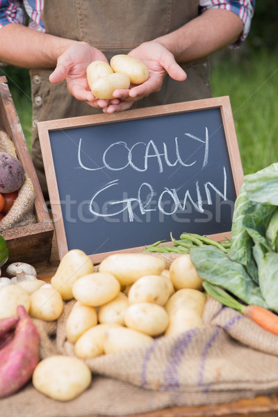 Farmer selling organic veg at market Stock photo © wavebreak_media