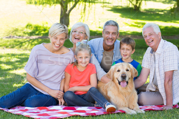 Foto stock: Família · feliz · sorridente · câmera · cão · árvore