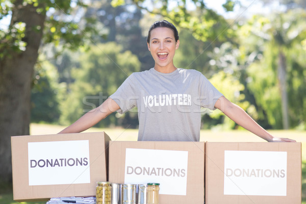 Csinos önkéntes adomány dobozok park napos idő Stock fotó © wavebreak_media