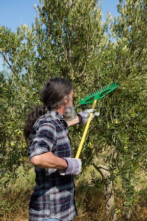 Stock foto: Junge · Fischerei · Fluss · Wald · Freiheit