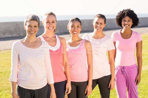 Stock foto: Lächelnd · Frauen · tragen · rosa · Brustkrebs · Porträt