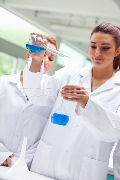 Portrait of smiling scientists pouring liquid into a flask in a laboratory Stock photo © wavebreak_media