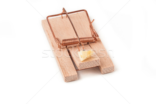 Kaas witte draad sluiten witte achtergrond binnenshuis Stockfoto © wavebreak_media