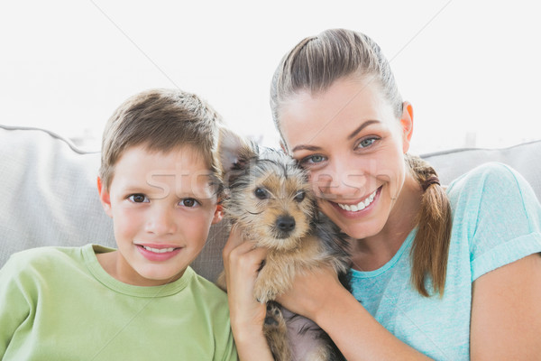 Foto stock: Mujer · sonriente · yorkshire · terrier · cachorro · hijo